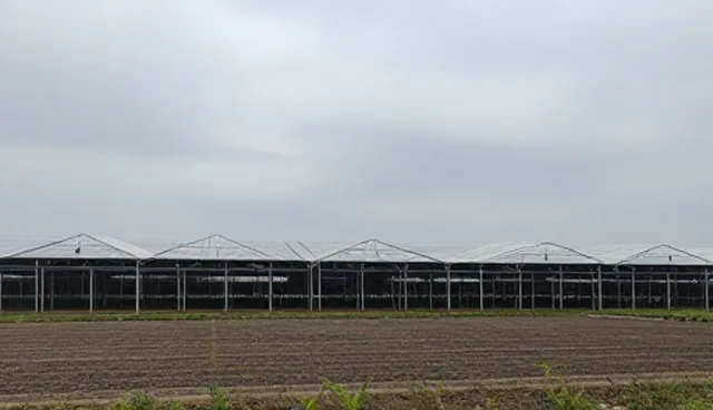 会议执行中的性能差异与适用条件分析